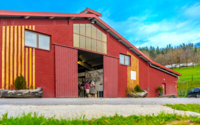 Barndominium, Shop, or Pole Barn: What Should Kansas Landowners Build First?